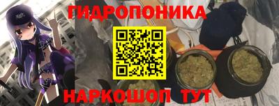 a pvp Краснокаменск