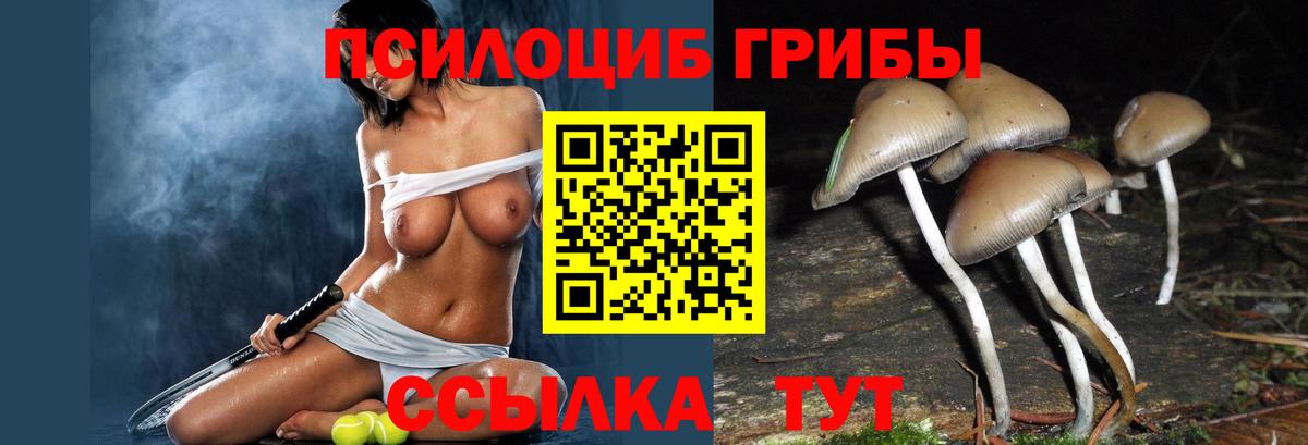 Псилоцибиновые грибы мухоморы Изобильный