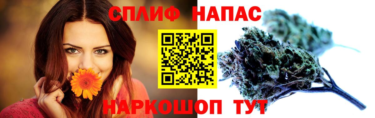 Конопля сатива  Вход с VPN  Каннабис семена  Каннабис ГИДРОПОН  Изобильный  Шишки марихуана Bruce Banner 